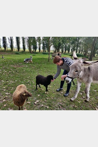 ferme aux paons