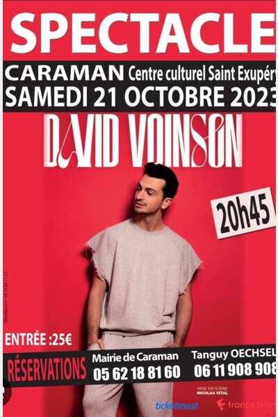 Affiche David Voinson 