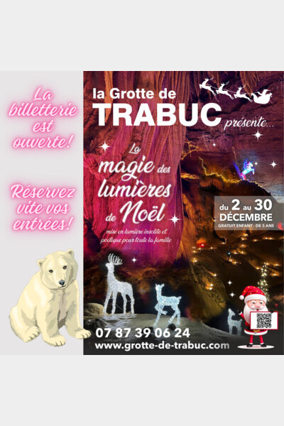 La Magie des Lumières de Noël