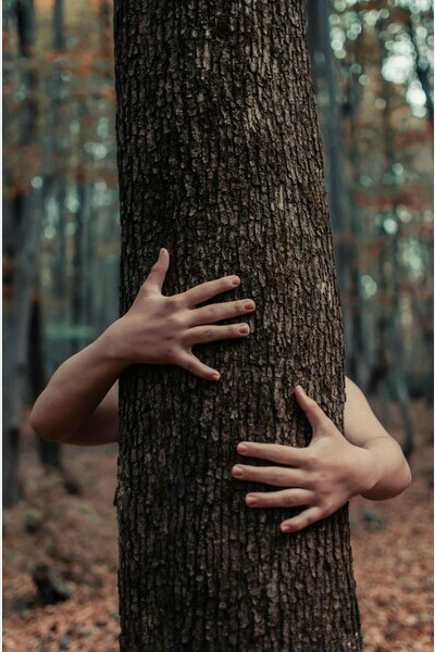 La Forêt Danse