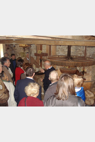 Visite