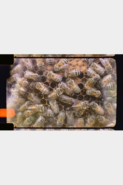 Les fabricants | photogramme 16mm
