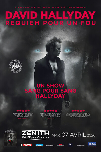 David Hallyday - Requiem pour un fou
