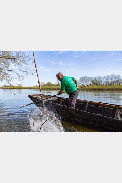 Pêche aux engins, relève d’un verveux