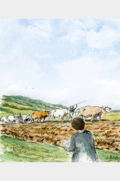 Philippe Rollin, Rosa Bonheur en Nivernais