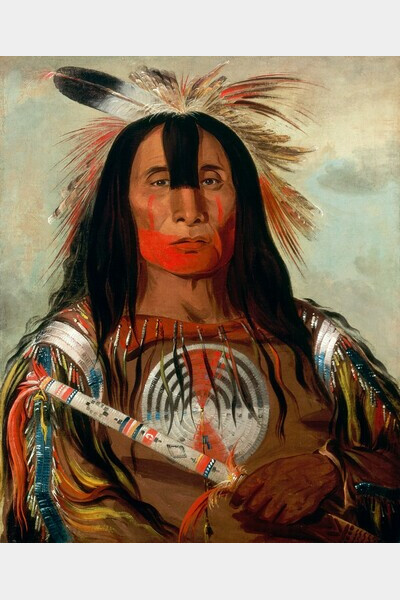  Buffalo Bulls Back Fat (1832)