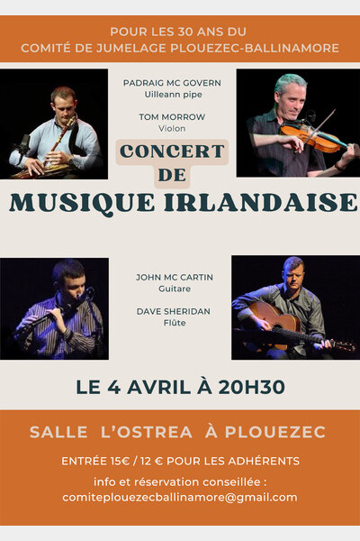 affiche annonce concert 