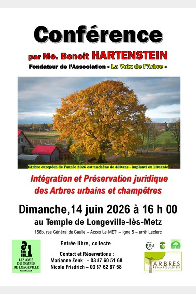 Affiche avec l'Arbre européen de l'année
