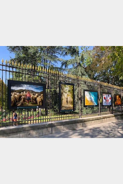 Sur les grilles du jardin du Luxembourg