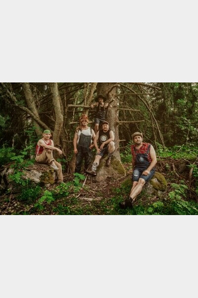 STEVE'N'SEAGULLS