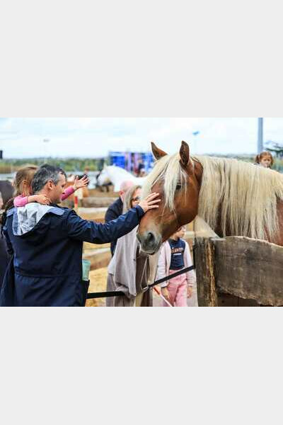 Découvrez le Village des chevaux et poneys