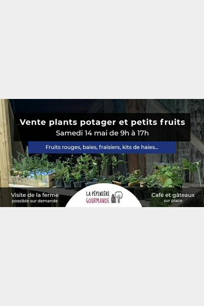 Vente de plants potagers