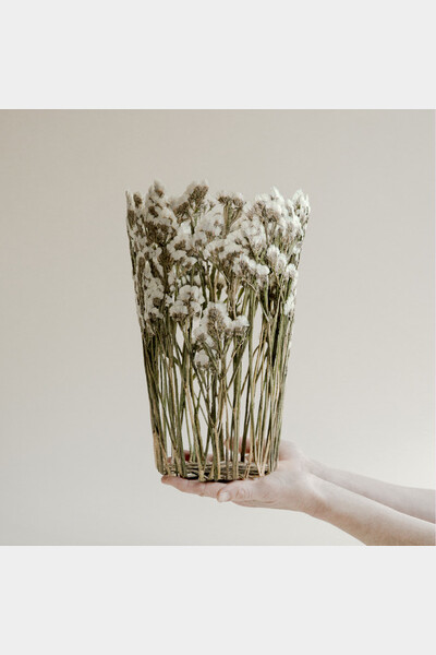 Bouquet_03. Statices blanches. Pressage de fleur 3D