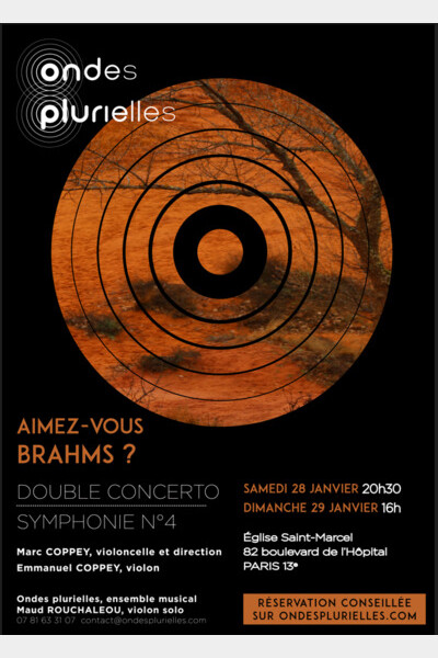 Concert Aimez-vous Brahms?