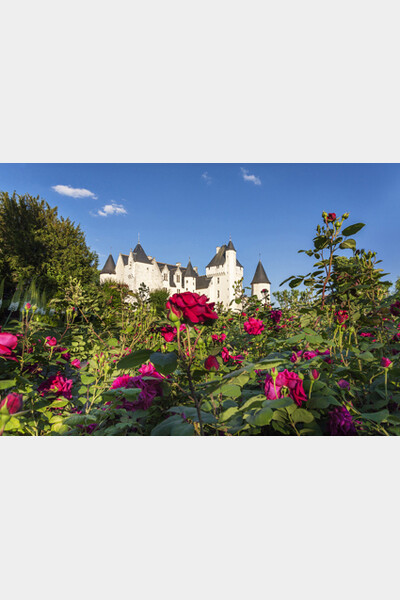 Fête de la Rose au Château du Rivau (37)