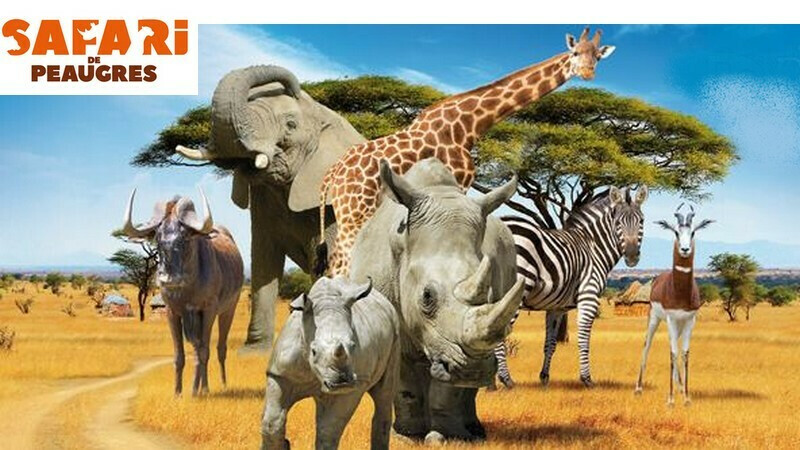 parc zoologique safari de peaugres