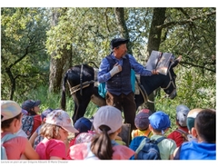 Lecture en plein air / Grégoire Albisetti